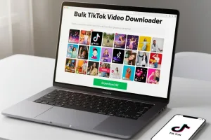 Bulk TikTok Video Downloader: Best Tools & Complete Guide 2025
